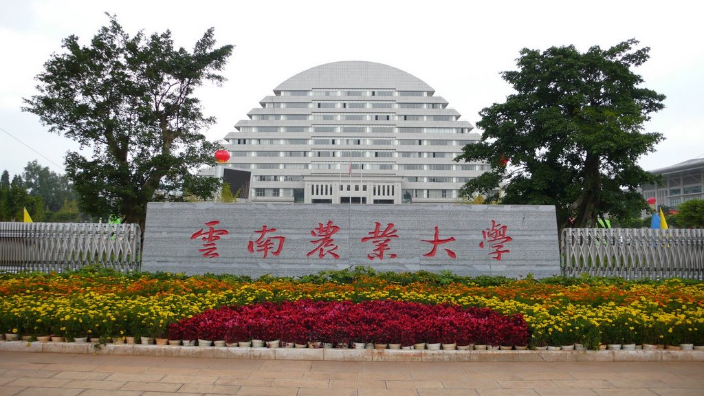 /upload/image/du-hoc-trung-quoc/co-mot-van-nam-xinh-dep-va-mong-mo-cua-bao-du-khach-12-min.jpg