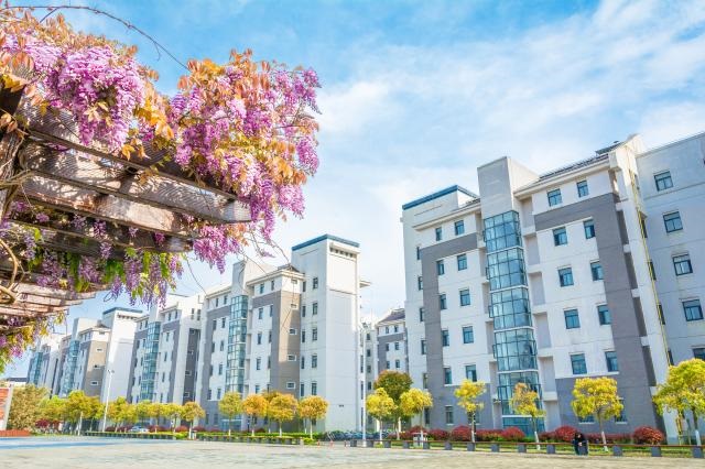 Học bổng toàn phần CSC không yêu cầu HSK – Cực hot
